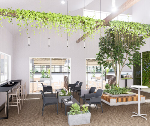 Green Oasis